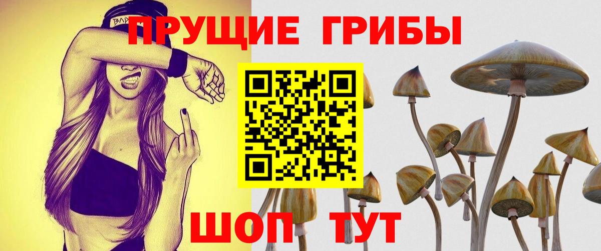 Галлюциногенные грибы ЛСД Людиново